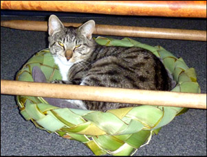 photo of a woven pet basket