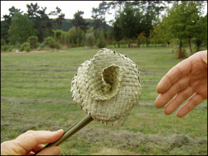 image of giving a flower