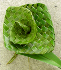 photo of a flax flower