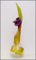 flax flower and leaf foliage