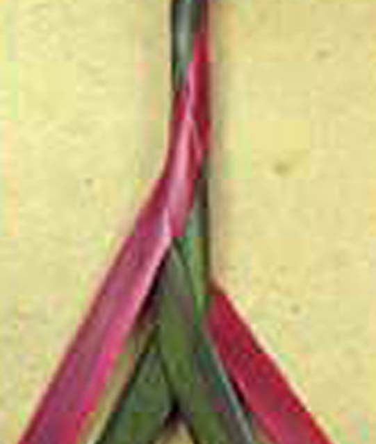 image of 4-plait cord