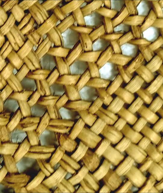 photo of flax sail