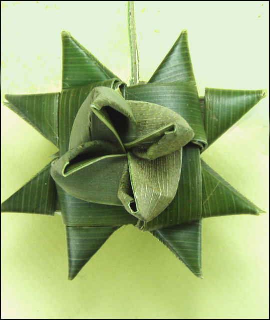 image of 3-D flax star
