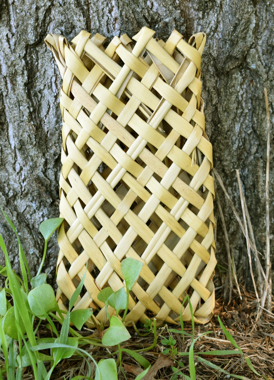 image of first kete