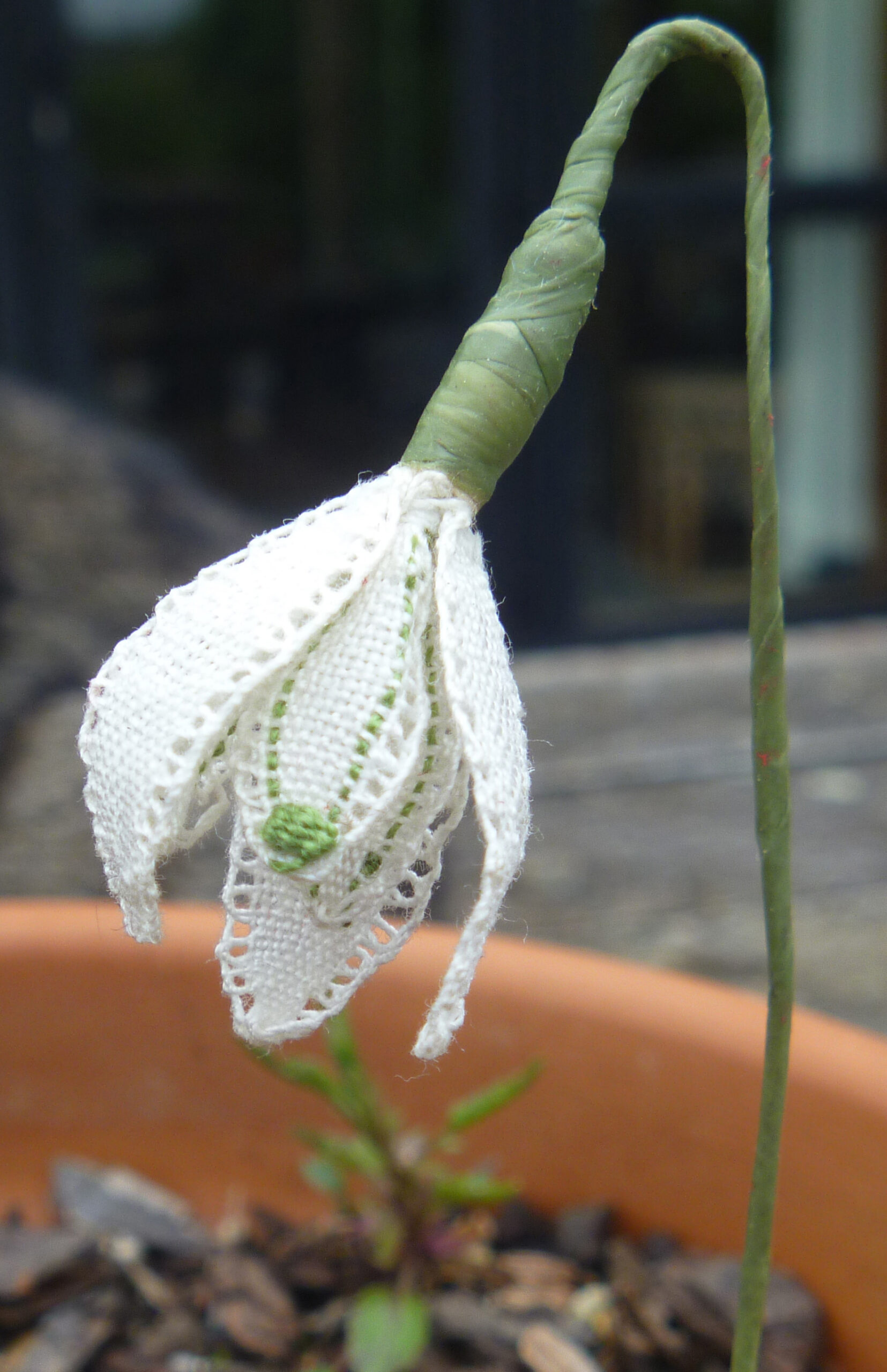 image of honiton lace snowdrop