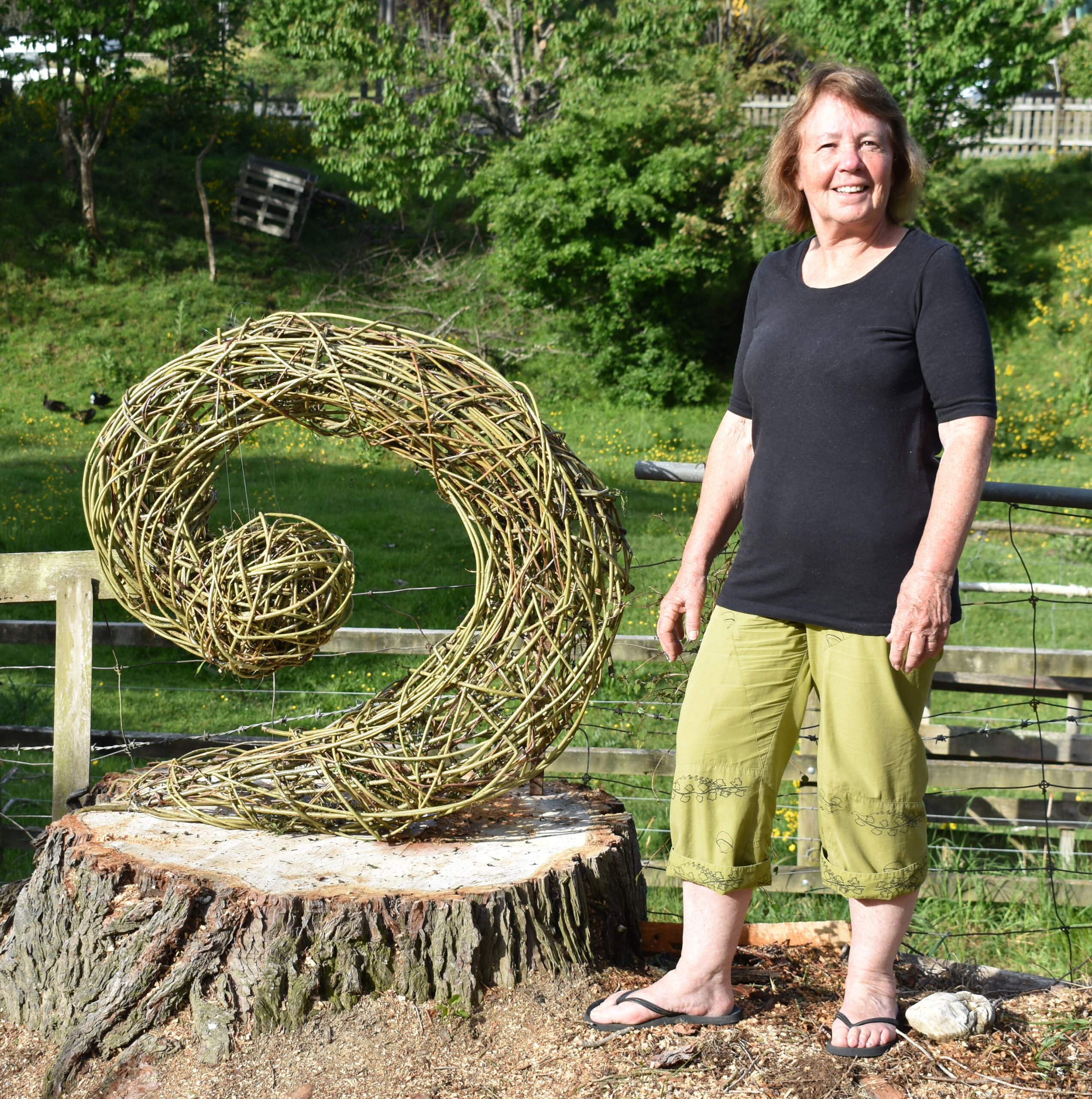 woven willow koru sculpture