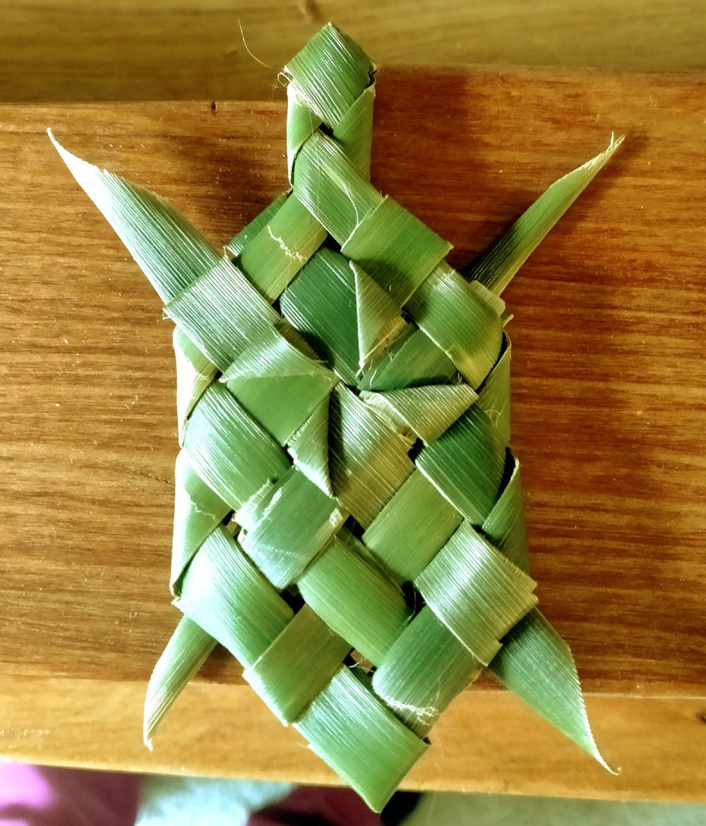 photo of flax turtle